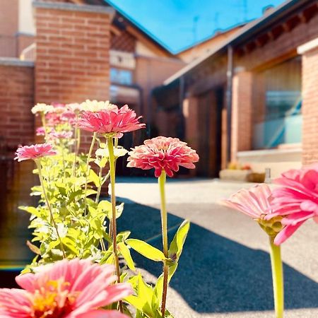 Agriturismo Teresa Delle Fragole Vigano Eksteriør bilde