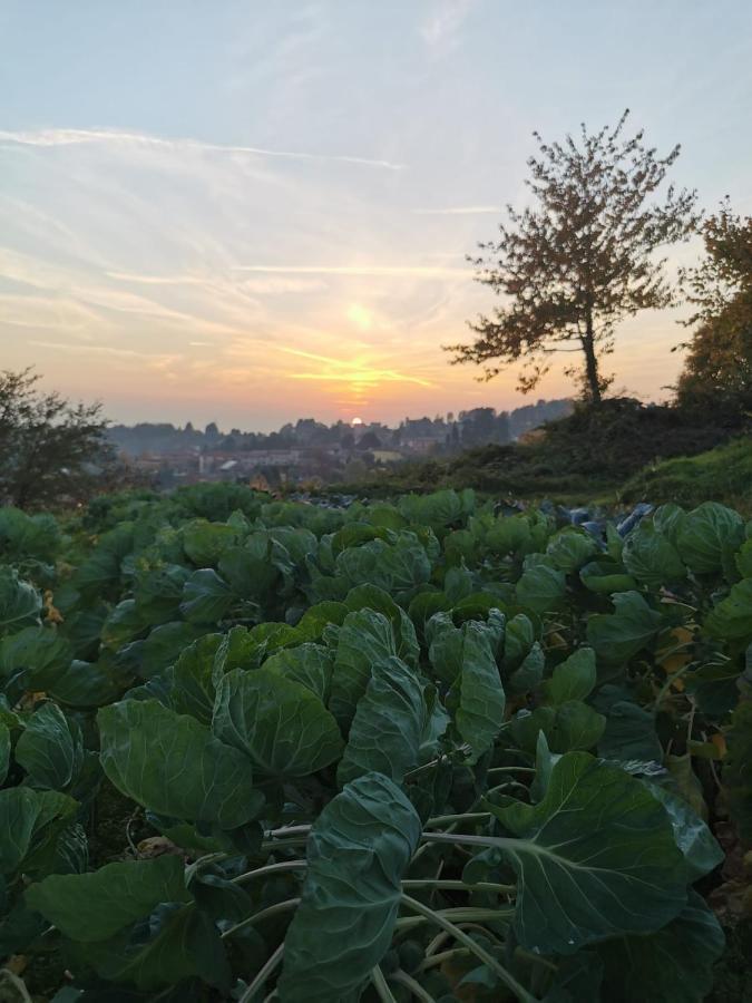 Agriturismo Teresa Delle Fragole Vigano Eksteriør bilde
