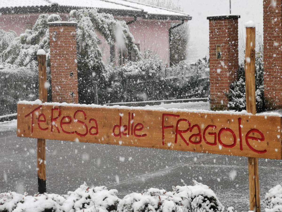 Agriturismo Teresa Delle Fragole Vigano Eksteriør bilde